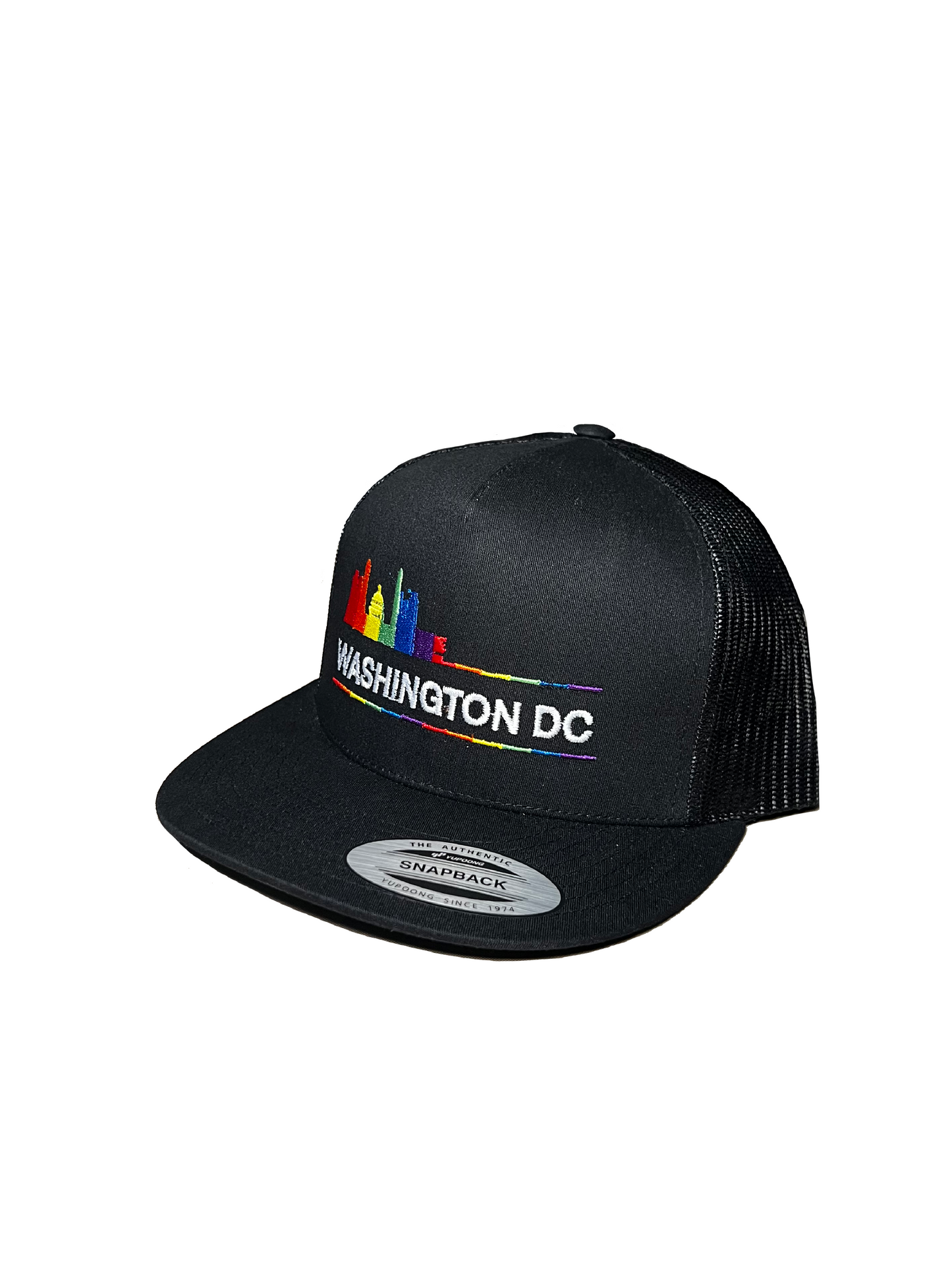 Washington DC Rainbow Skyline